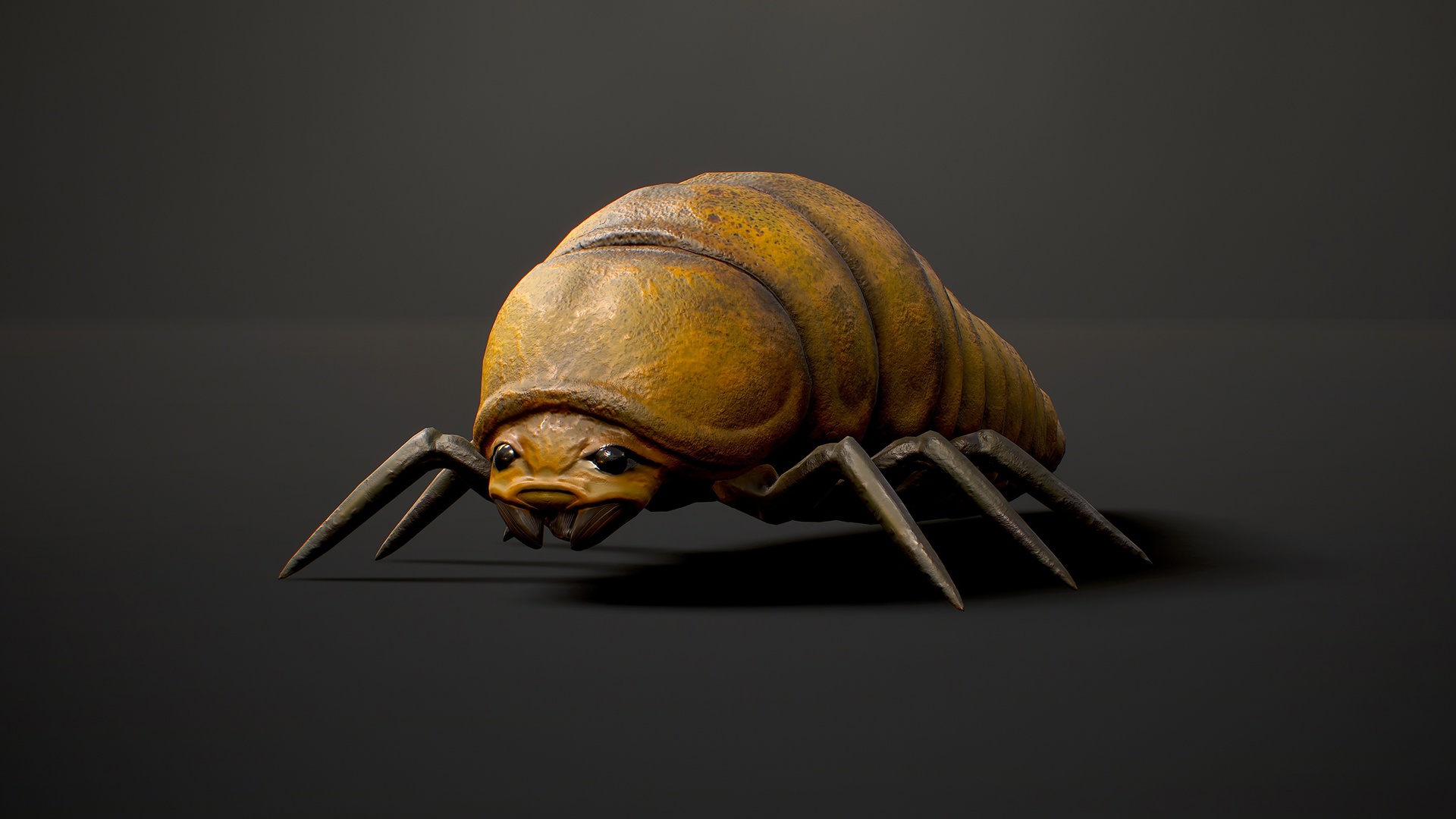 Insects Beetle1 Pack 제품 등록을 위한 미디어 1개