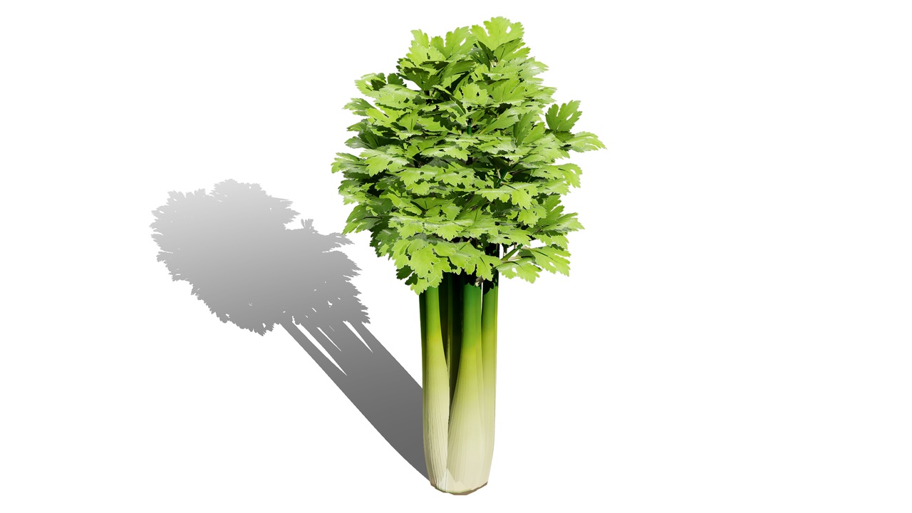 Media 1 for listing Leafy Greens 3D Pack