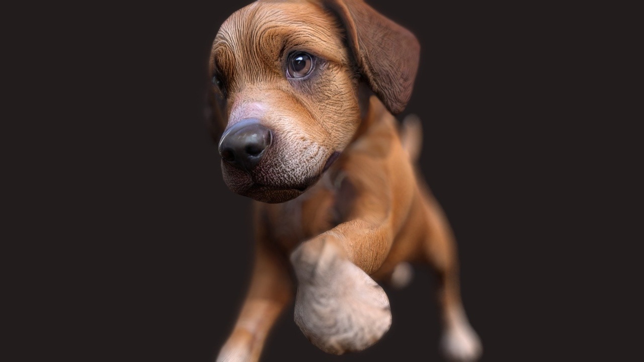 Media 1 for listing Brown Dog - Rigged