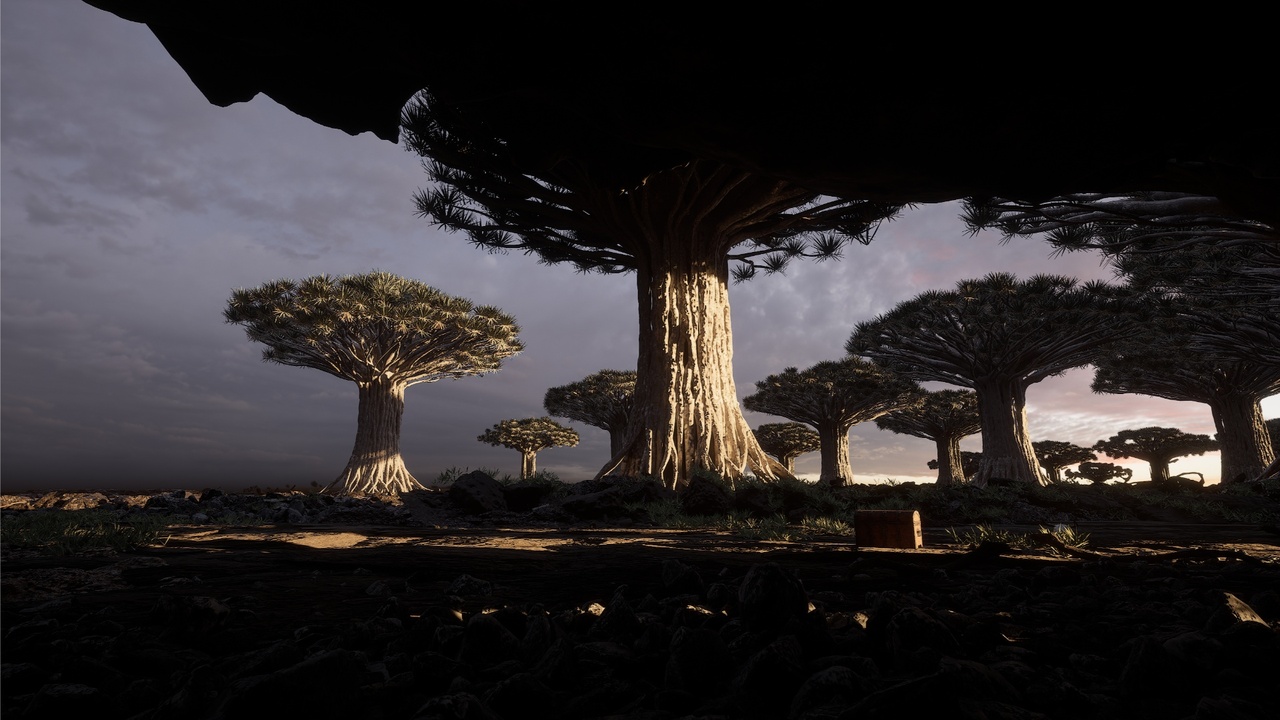 NATURE - Giant Tree Grove ilanı için 1. medya