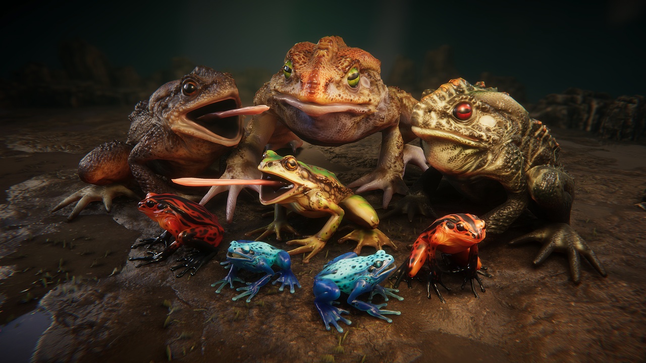 Media 1 for listing Frogs pack