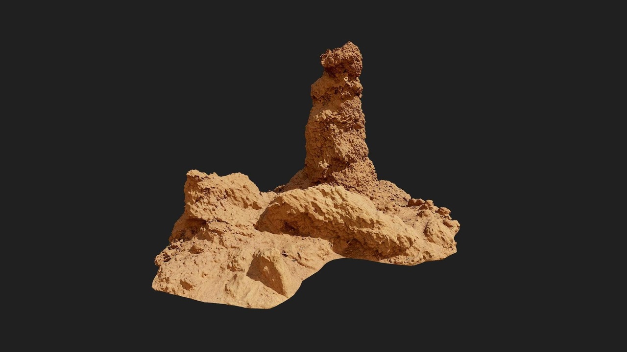 Media 1 for listing Grassland African Mound Termite Sand Small 01