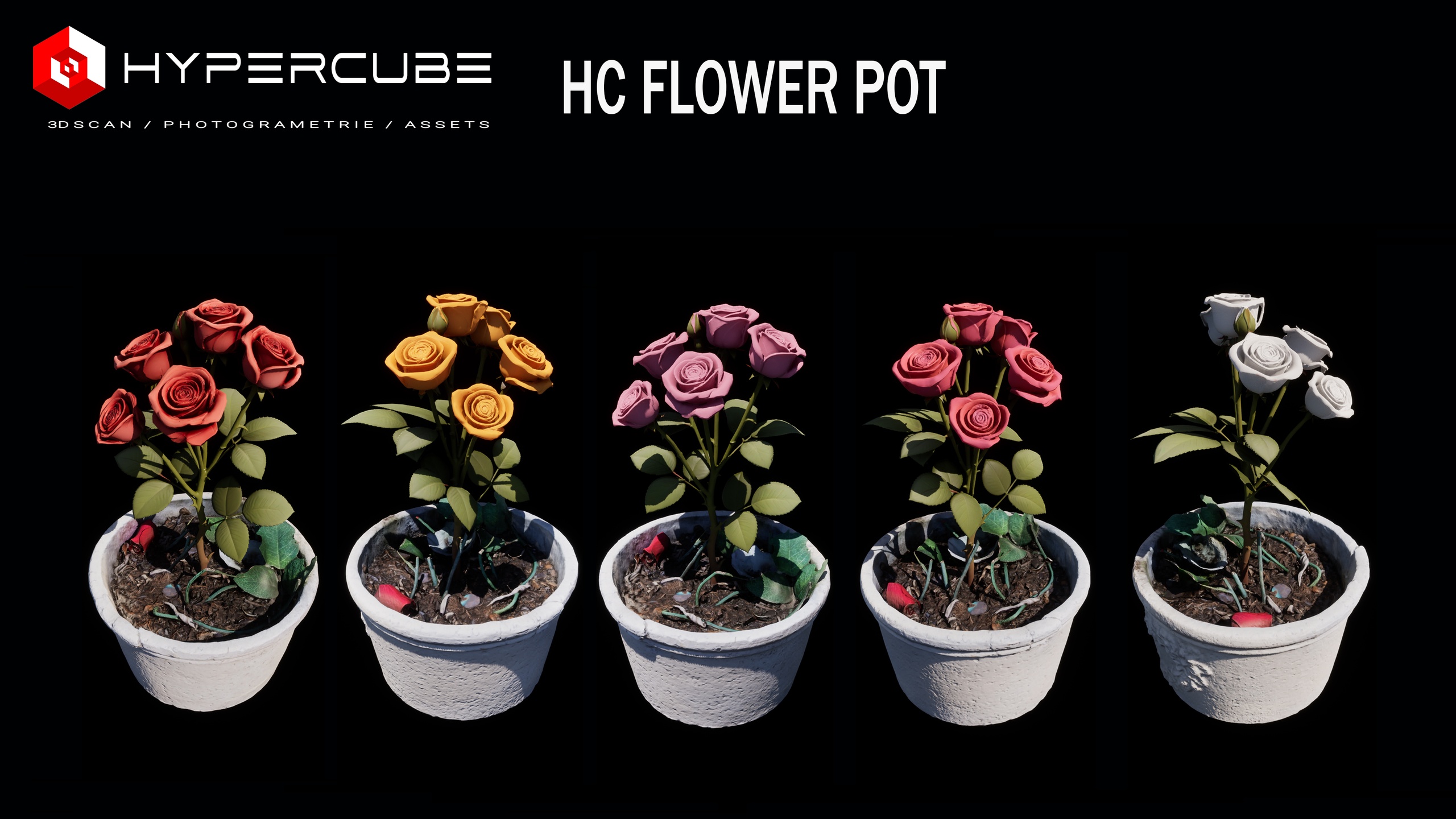 Media 1 for listing HC FLOWER POT