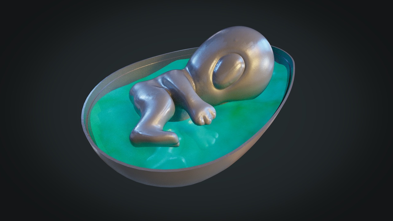Media 1 for listing Alien Egg (with baby)