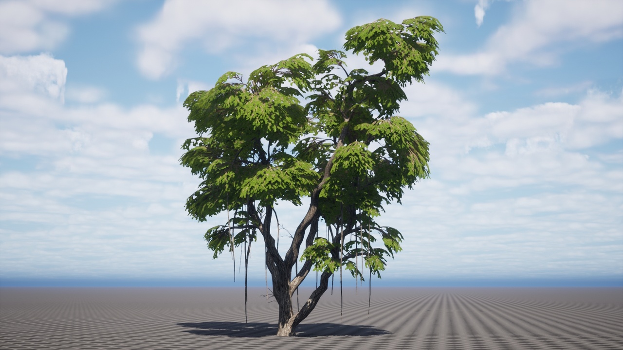 Media 1 for listing Realistic Trees Pack 13