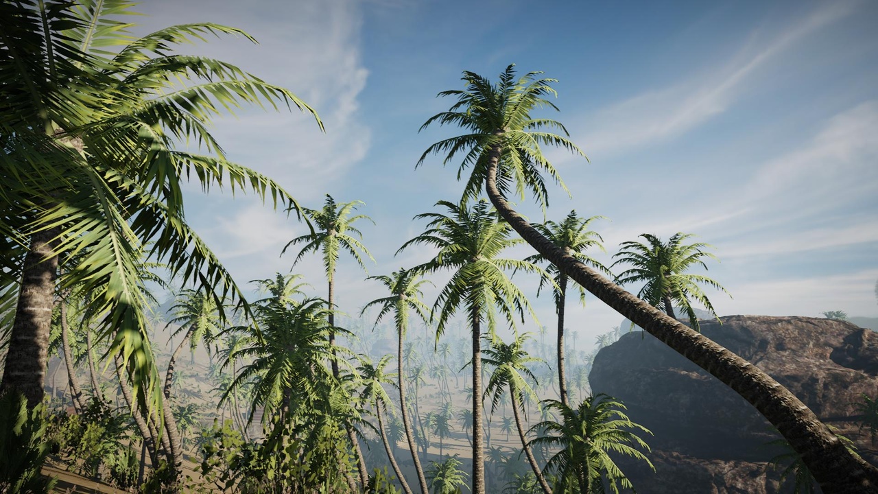 Media 1 for listing Desktop Palm Trees 4 (PC/Console)