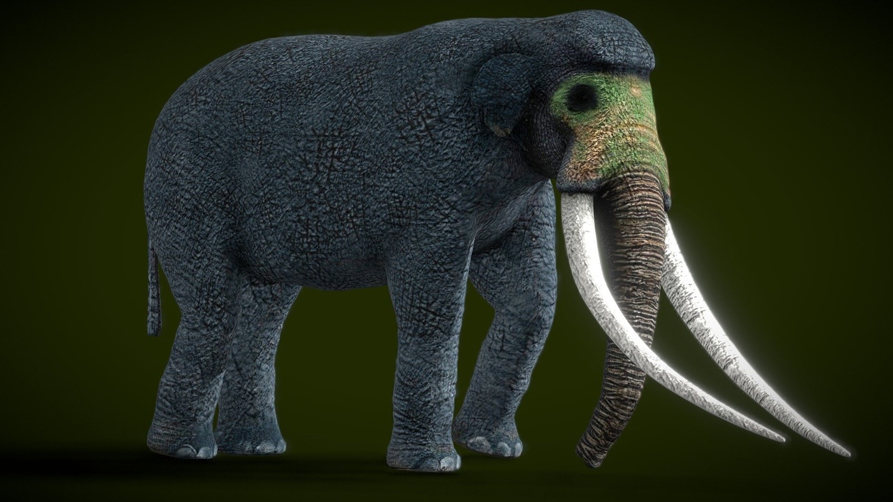 Media 1 for listing Animated Paleoloxdon Numadicus