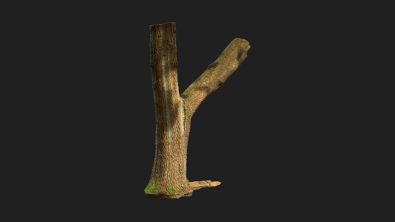 Tree Trunk | Fab