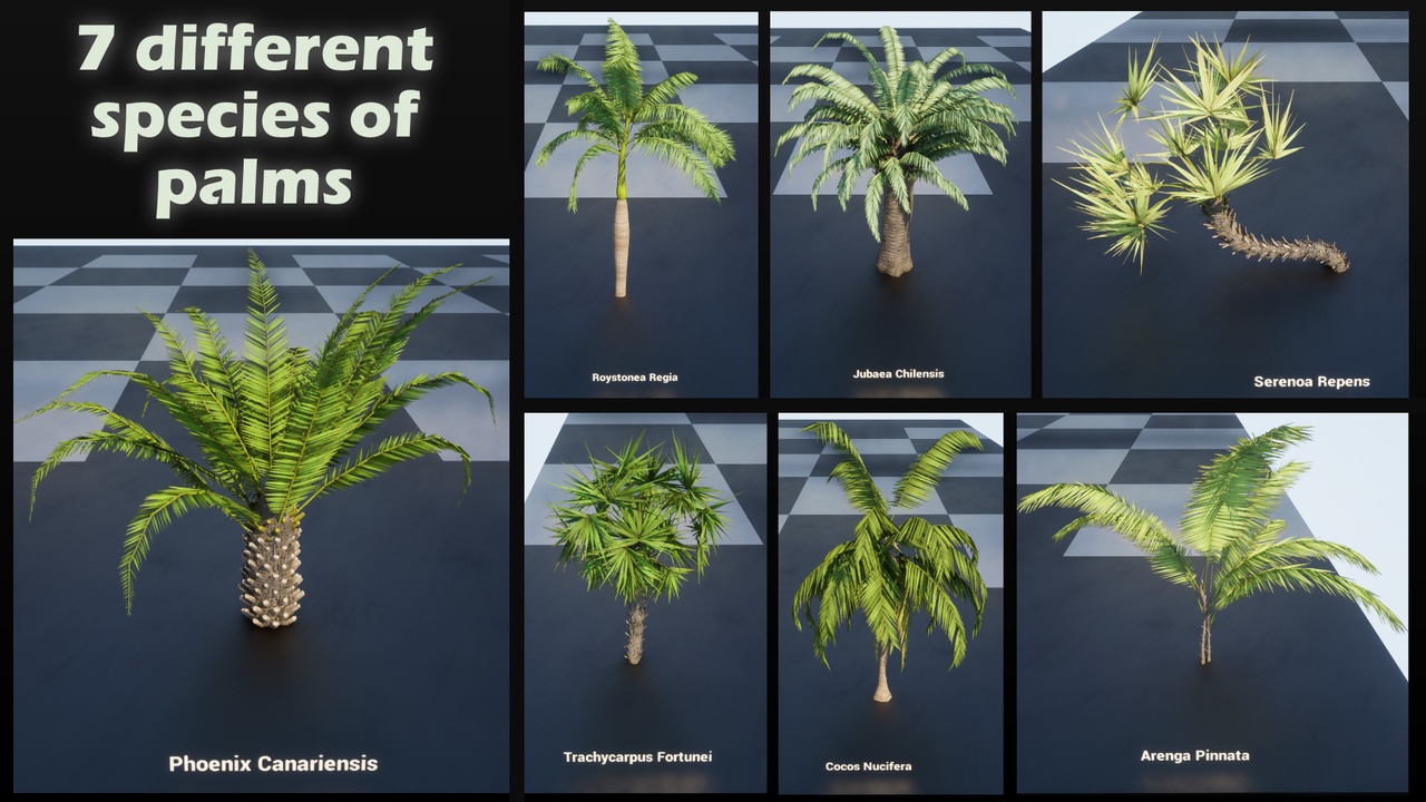 Media 1 for listing 49 Palms Mesh