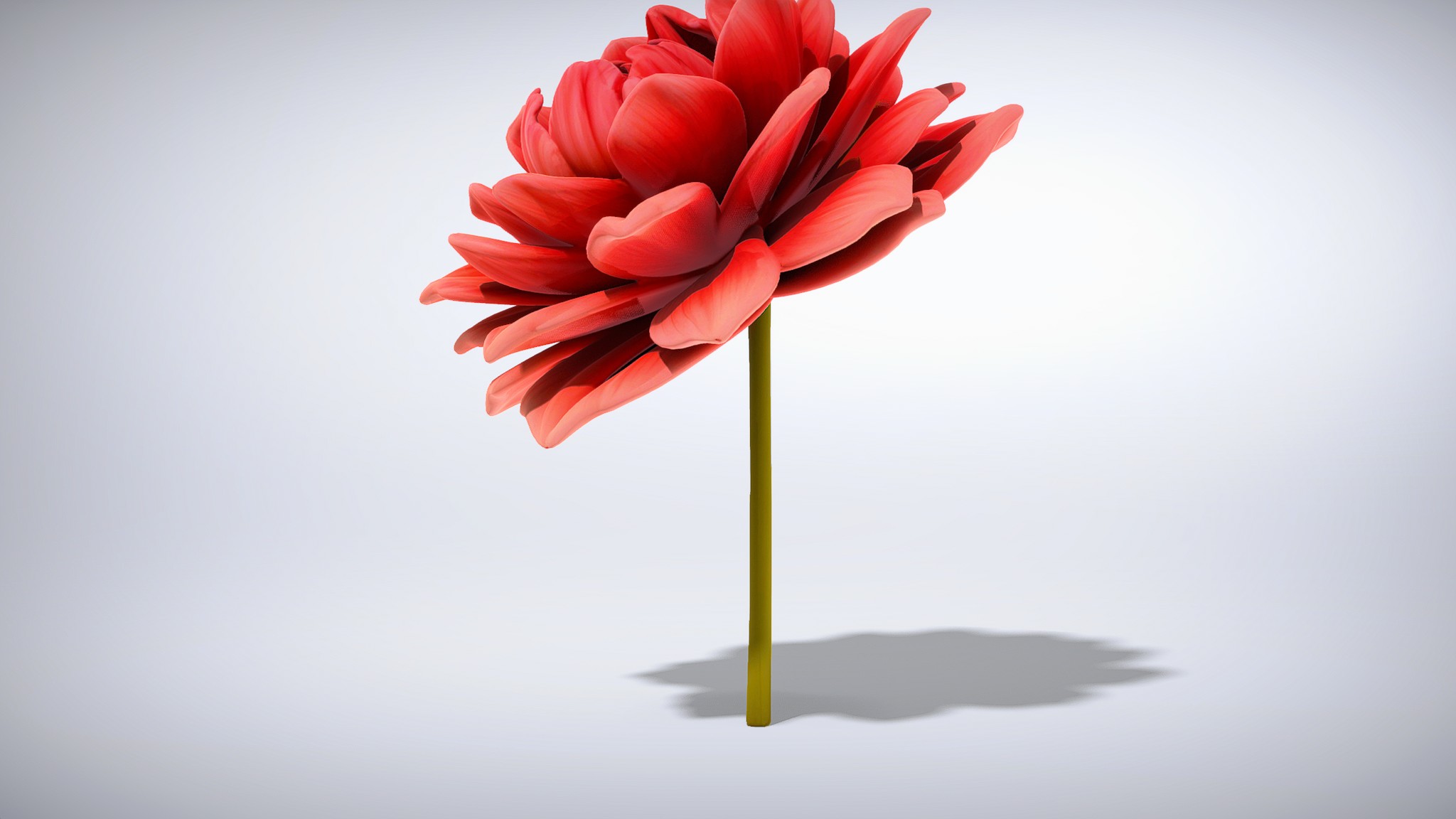 Model Red Flower Elegant Red Flower model pack | Fab