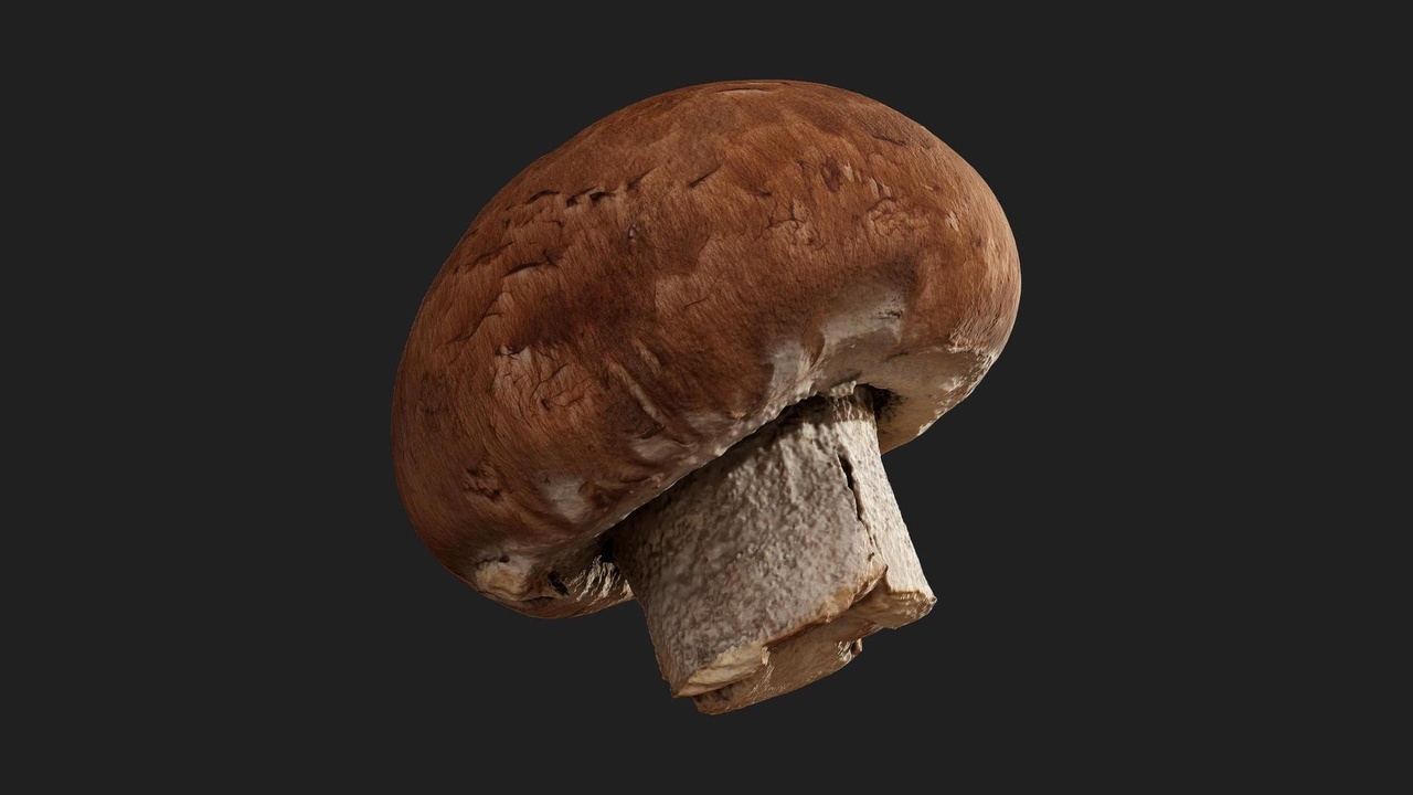 商品 Gilled Mushroom 的媒体 1