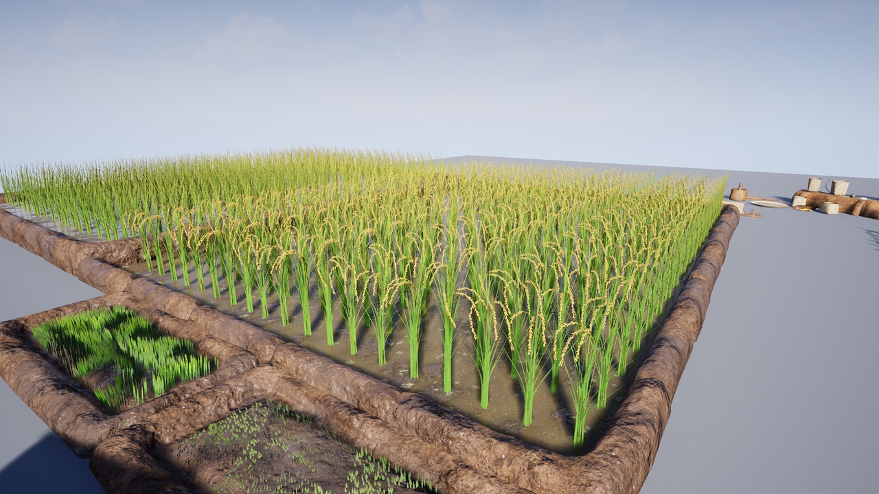 Media 1 for listing Survival Series - Agriculture