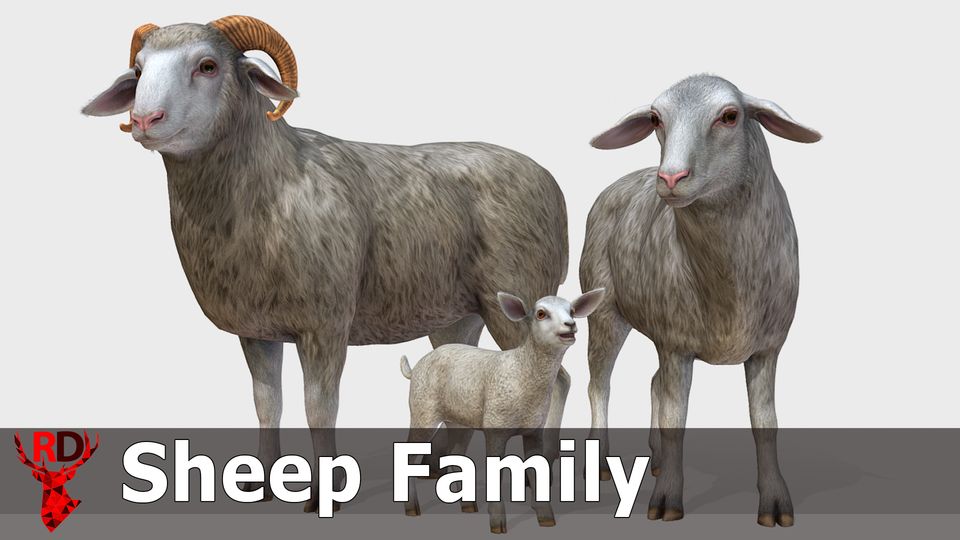 e4792a5c-c45a-44ee-9631-