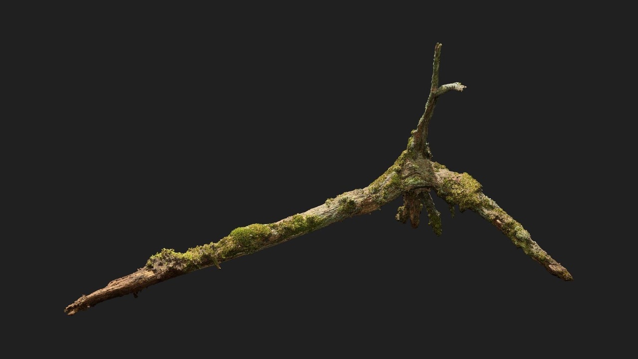 商品 Nordic Forest Tree Log Medium 的媒体 1