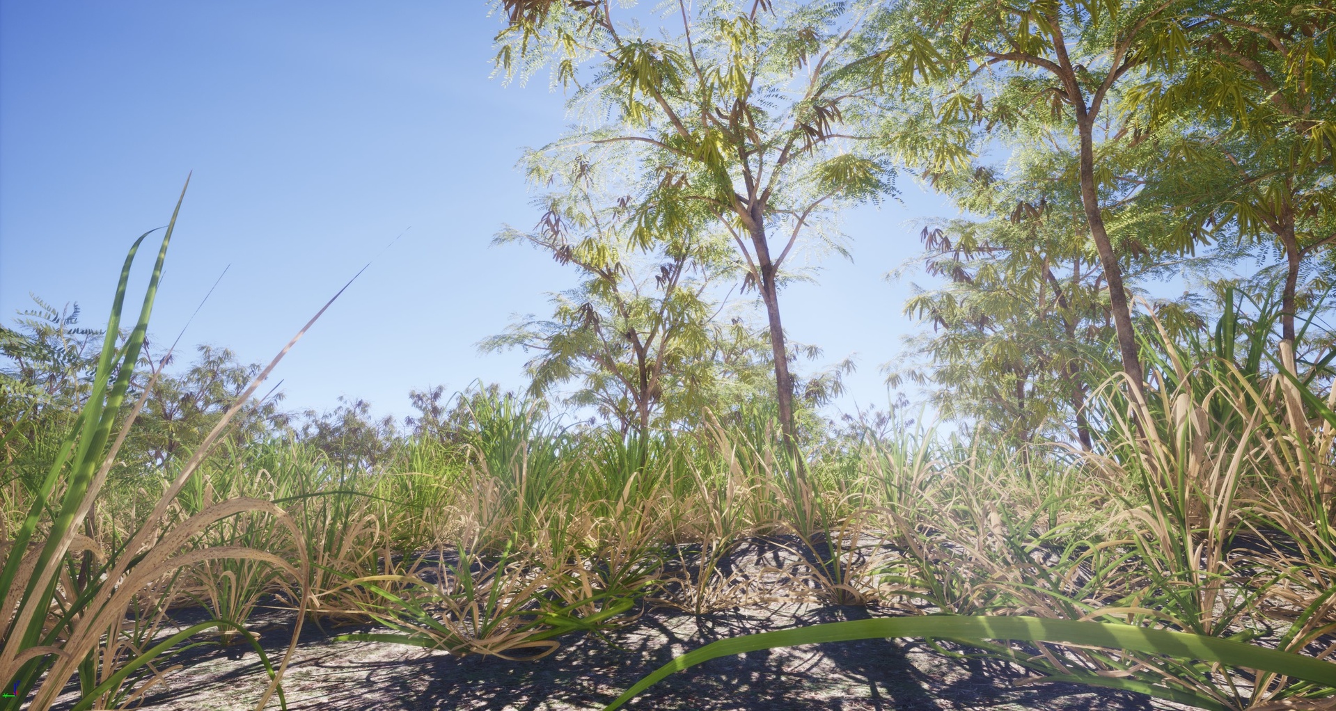 Media 1 for listing Nanite Tropical Plant Pack