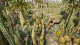 Asset image