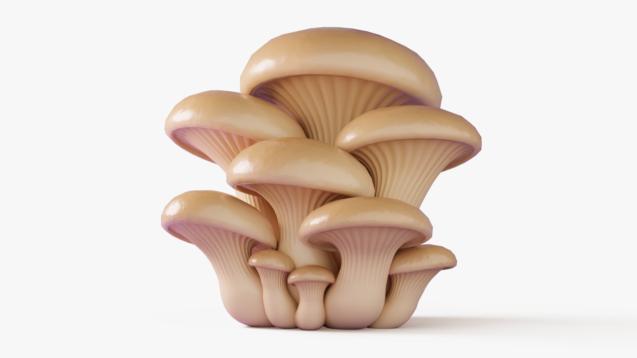 Media 1 for listing Oyster Mushrooms Cluster