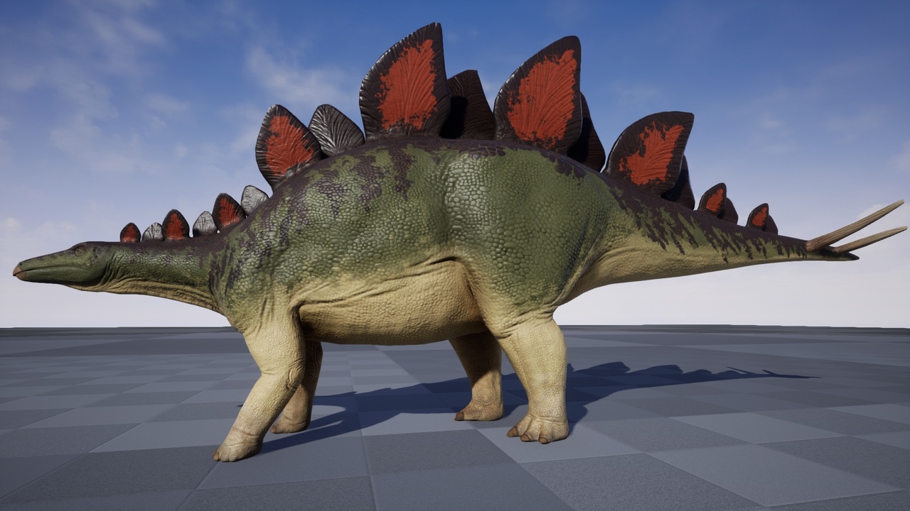 Media 1 for listing Stegosaurus