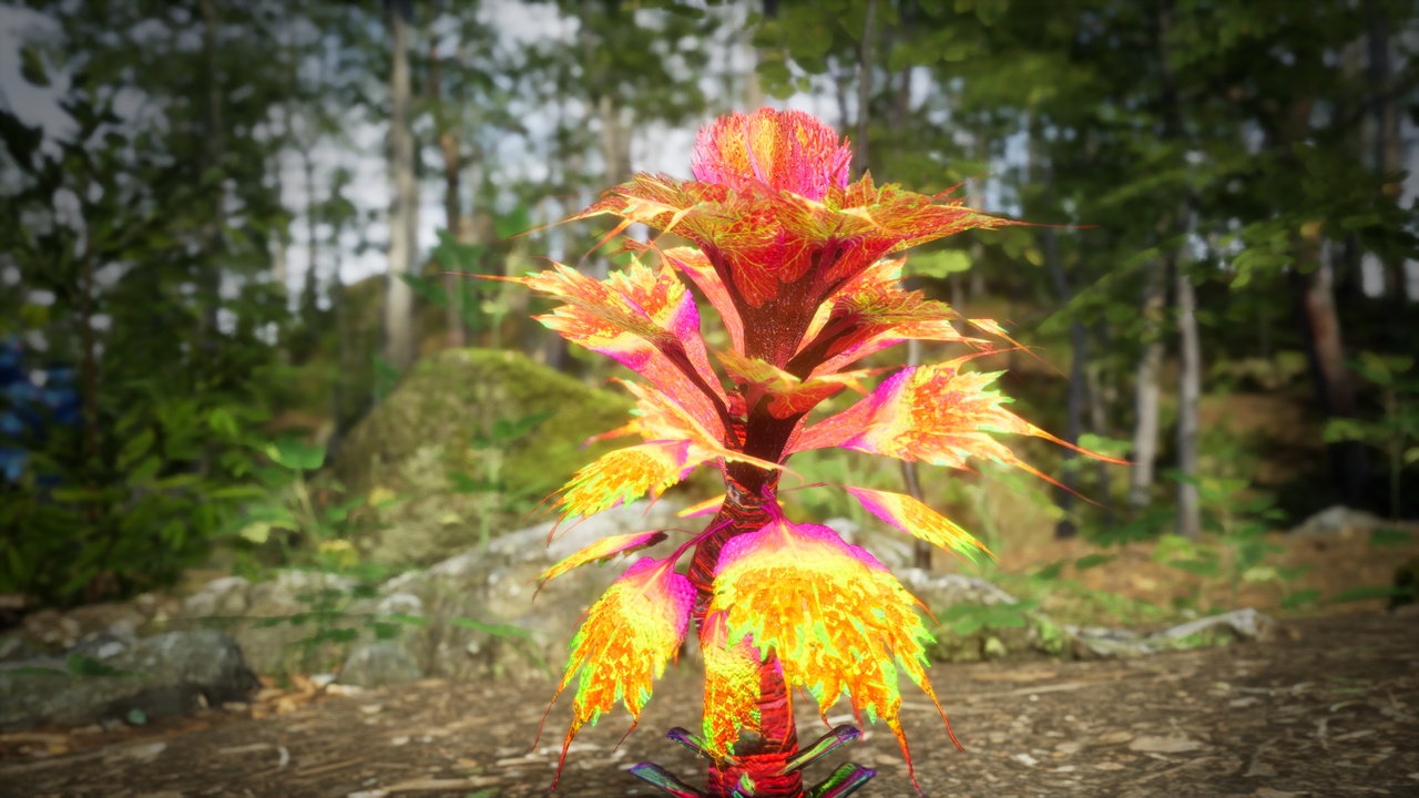 Media 1 for listing Red Fantasy Forest - 6 Red Pepper Cactus Grass Plant