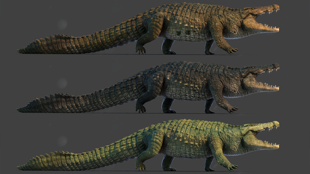 Media 1 for listing Realistic Crocodile