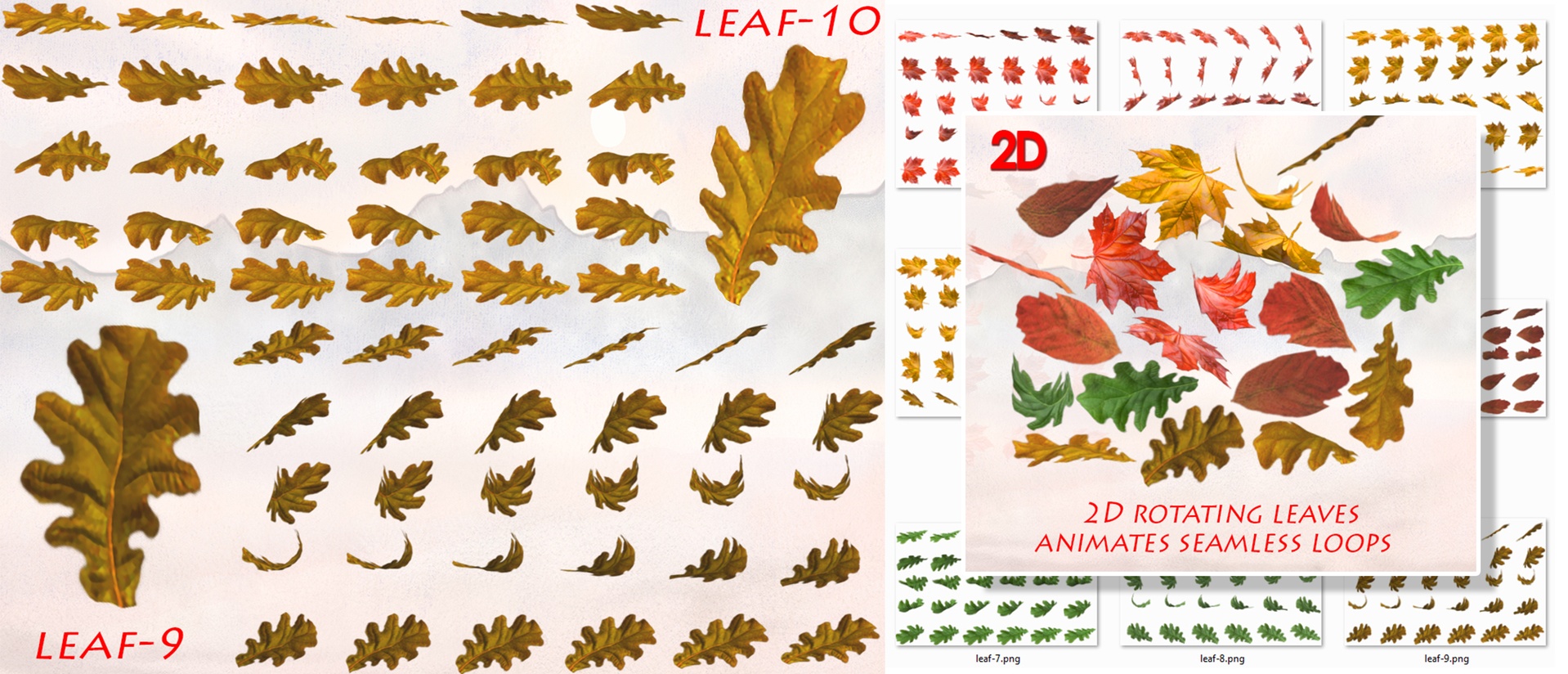 Media 1 for listing 2D Leaves