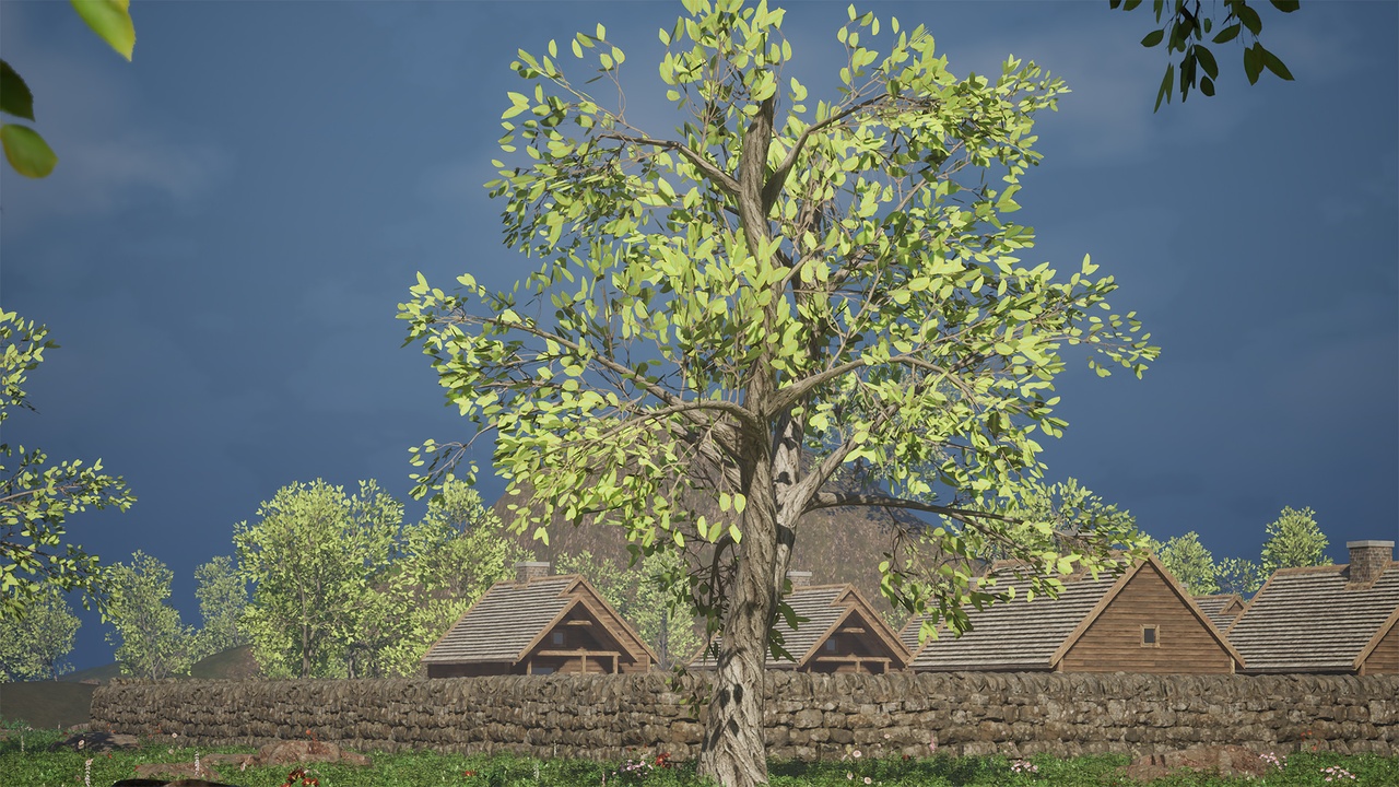 Media 1 for listing Realistic Low Poly Tree Pack 46M