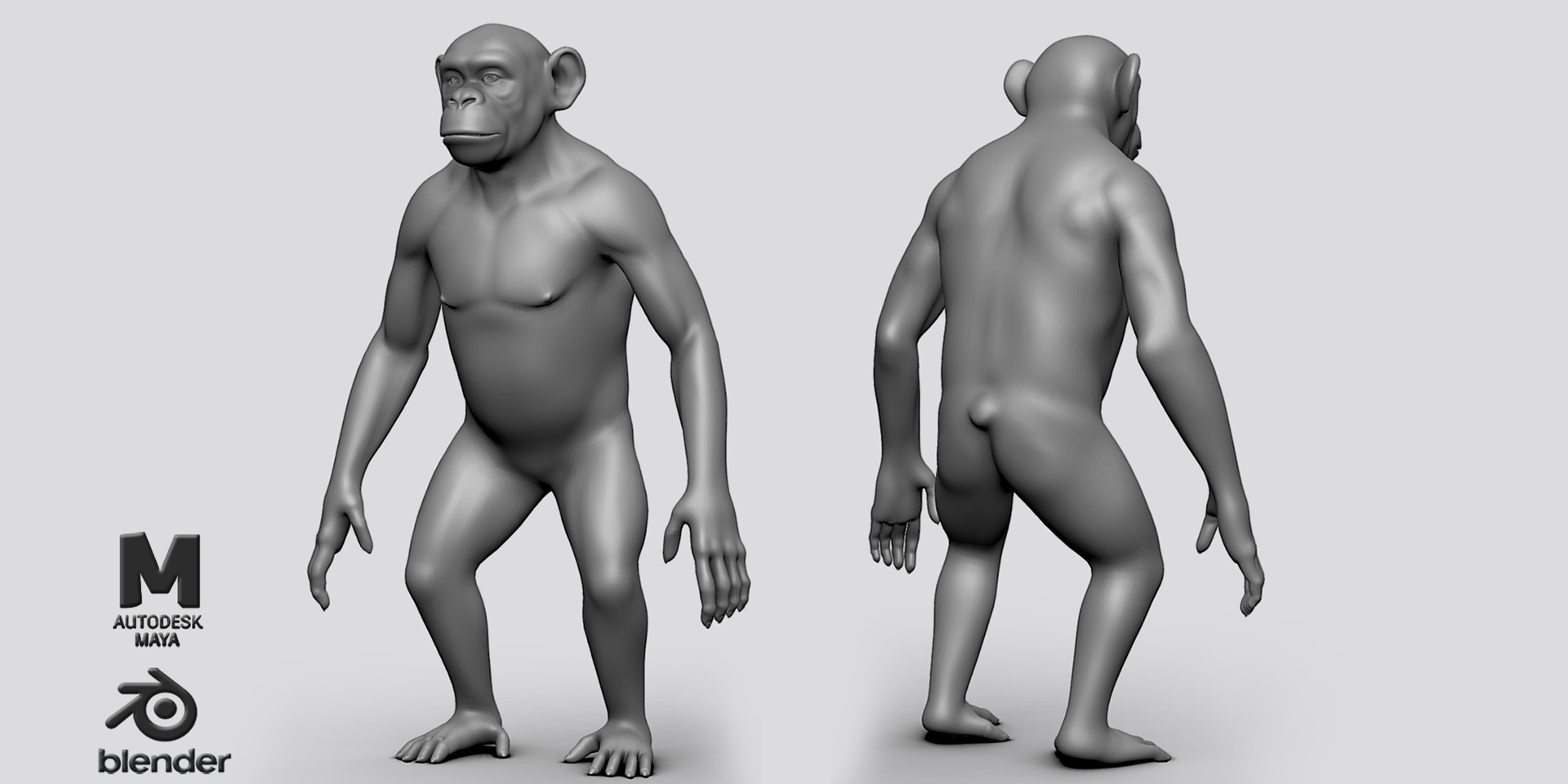 Media 1 for listing Chimpanzee ( BaseMesh ) - Topology + UV map
