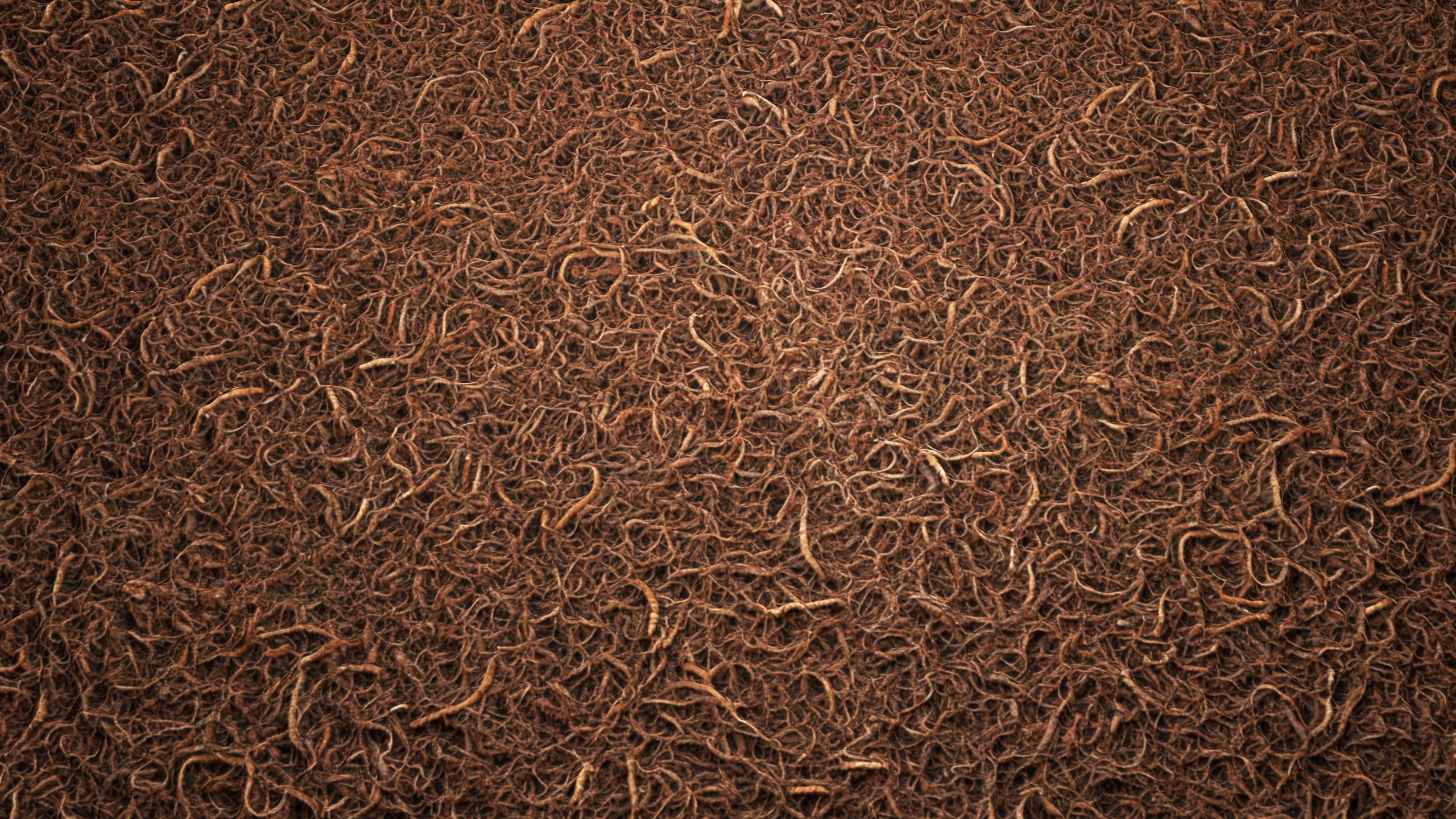 Media 1 for listing Doormat 8K PBR Texture