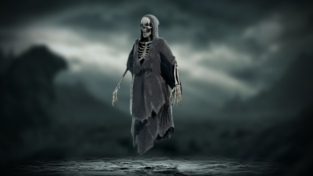 Media 1 for listing Wraith