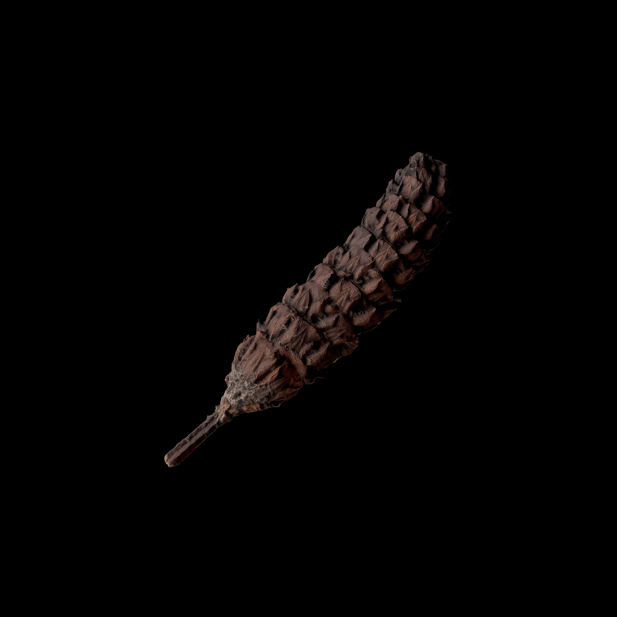 Медиа 1 для объявления Common Selfheal Spike