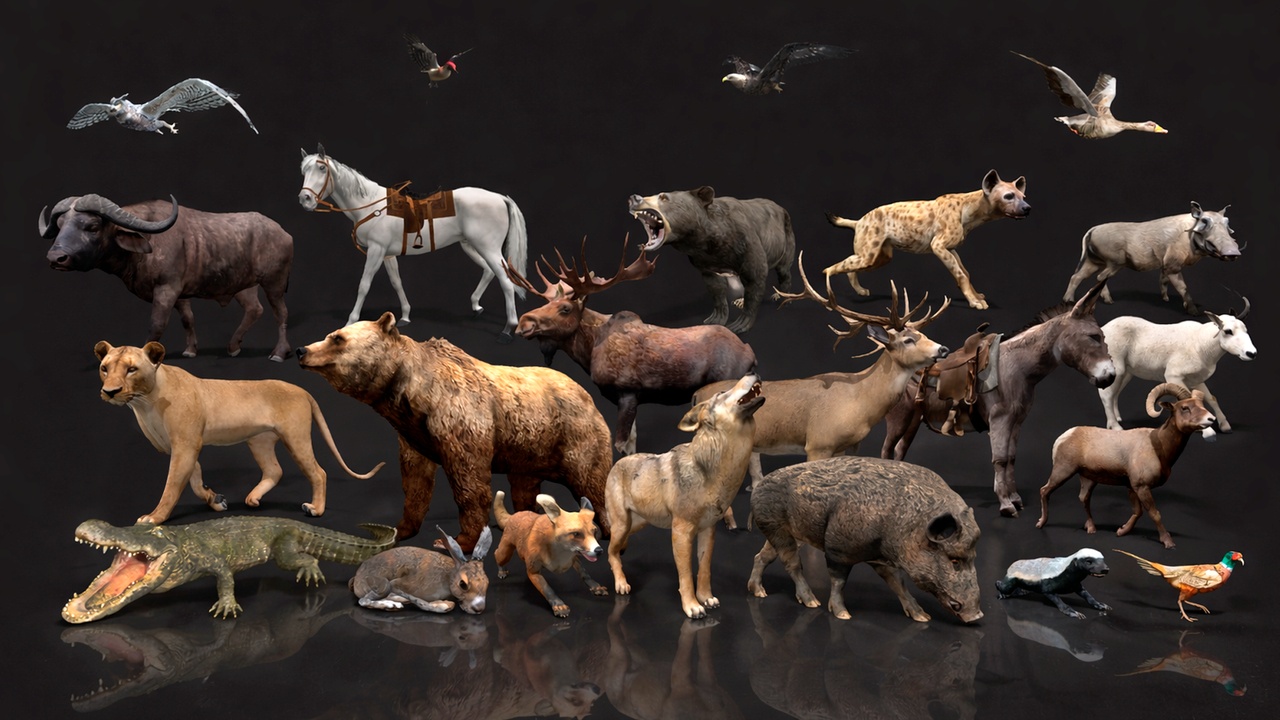 Media 1 for listing Realistic Animals Full Pack - WildMesh3D