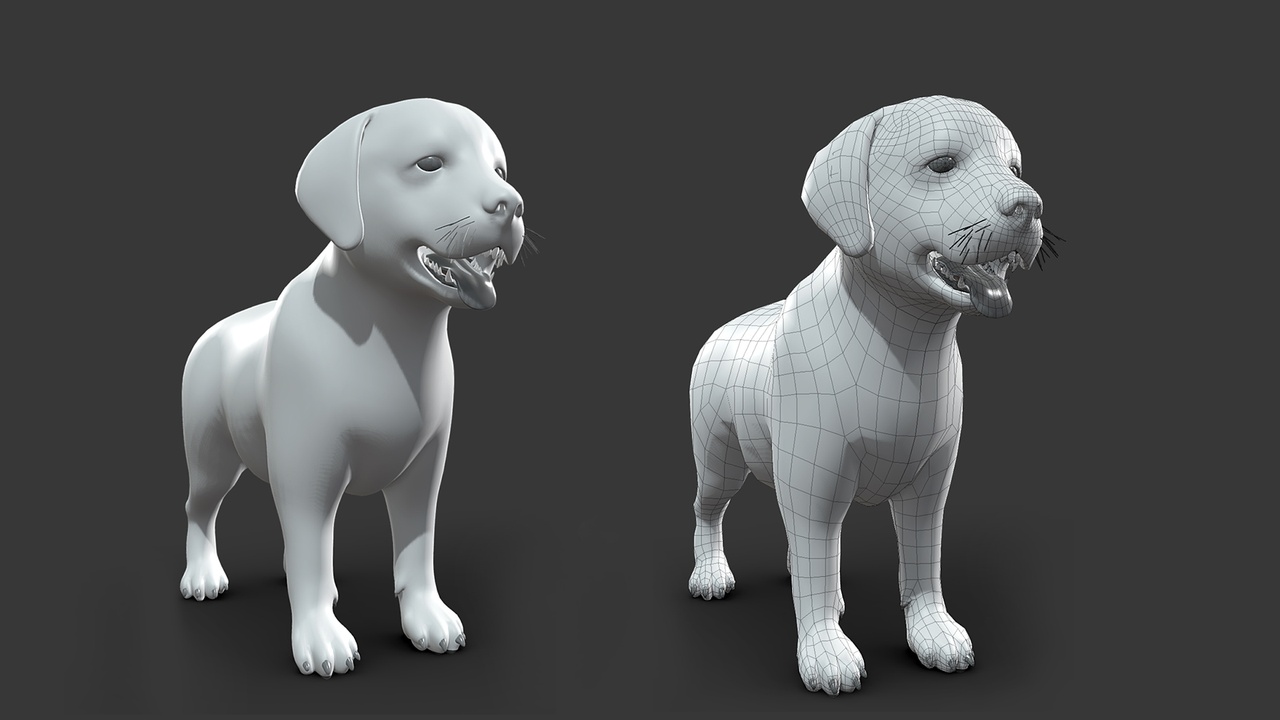 Media 1 for listing Baby Dog - Topology + UV Map