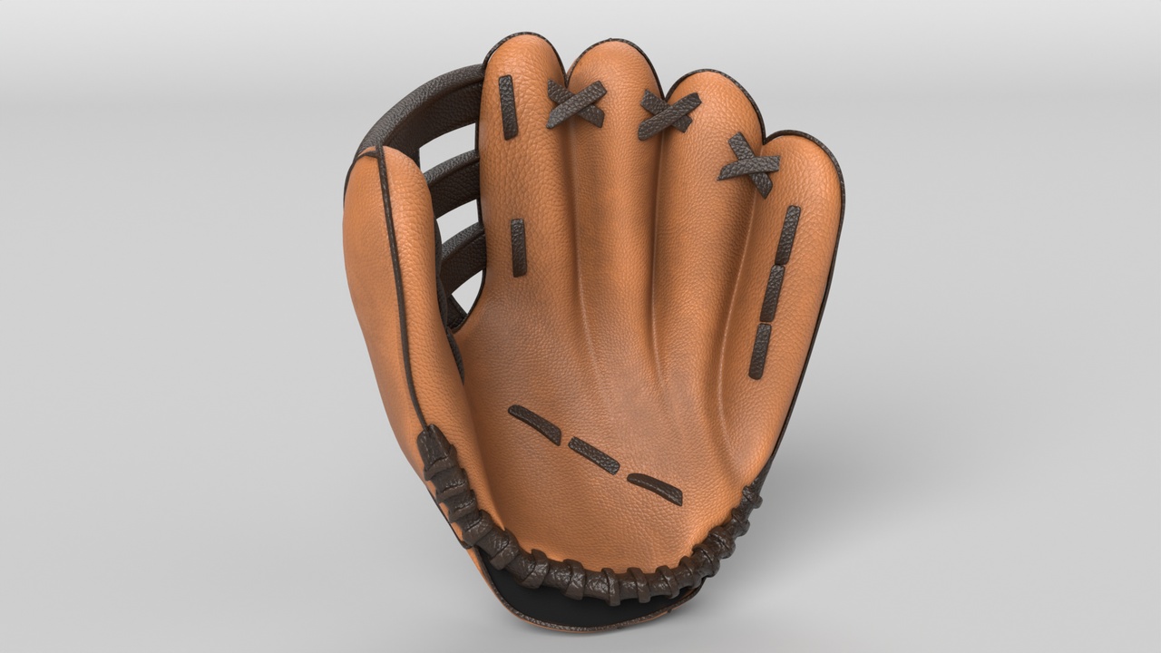 Media 1 for listing Baseball Glove