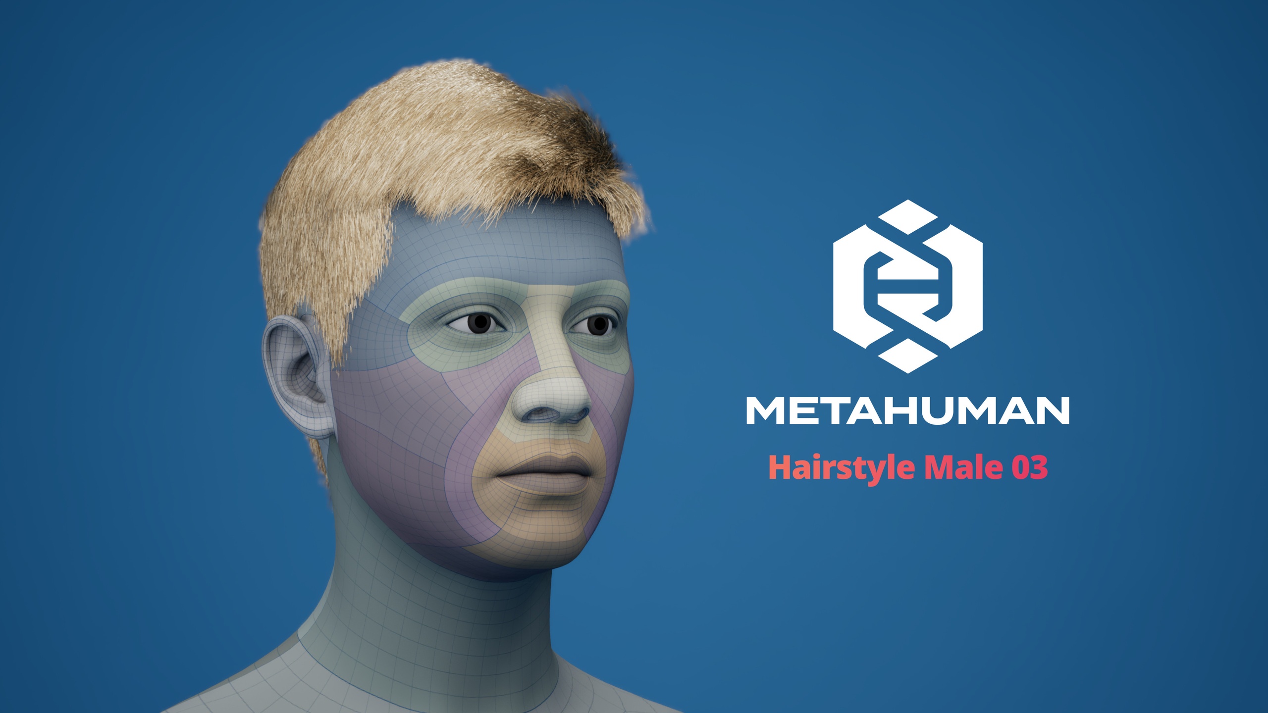 File multimediali per l'articolo MetaHuman Hairstyle Male 03 Groom: 1