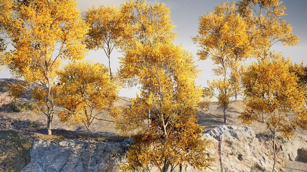 Media 1 for listing HighPoly Tree Pack 4