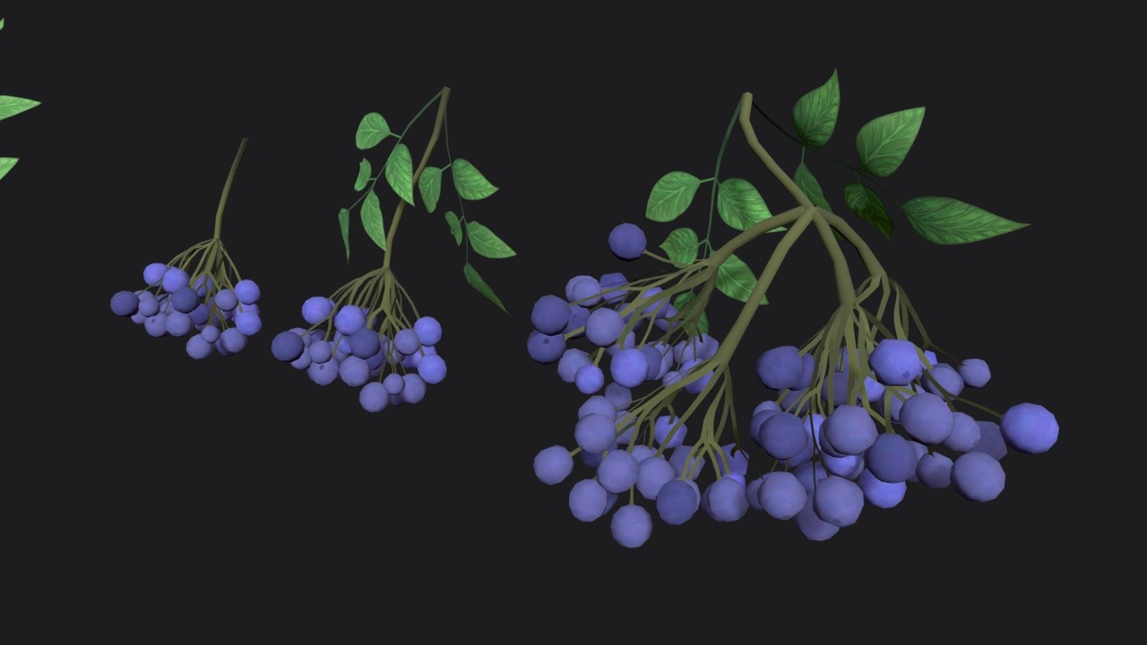 Media 1 for listing Elderberry sprig stylized plant