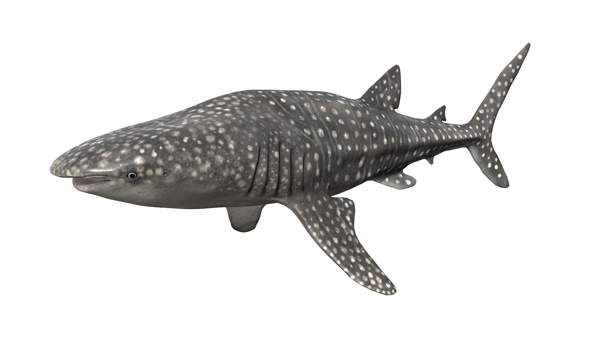 4f8c59ec-b1b3-4467-b230-