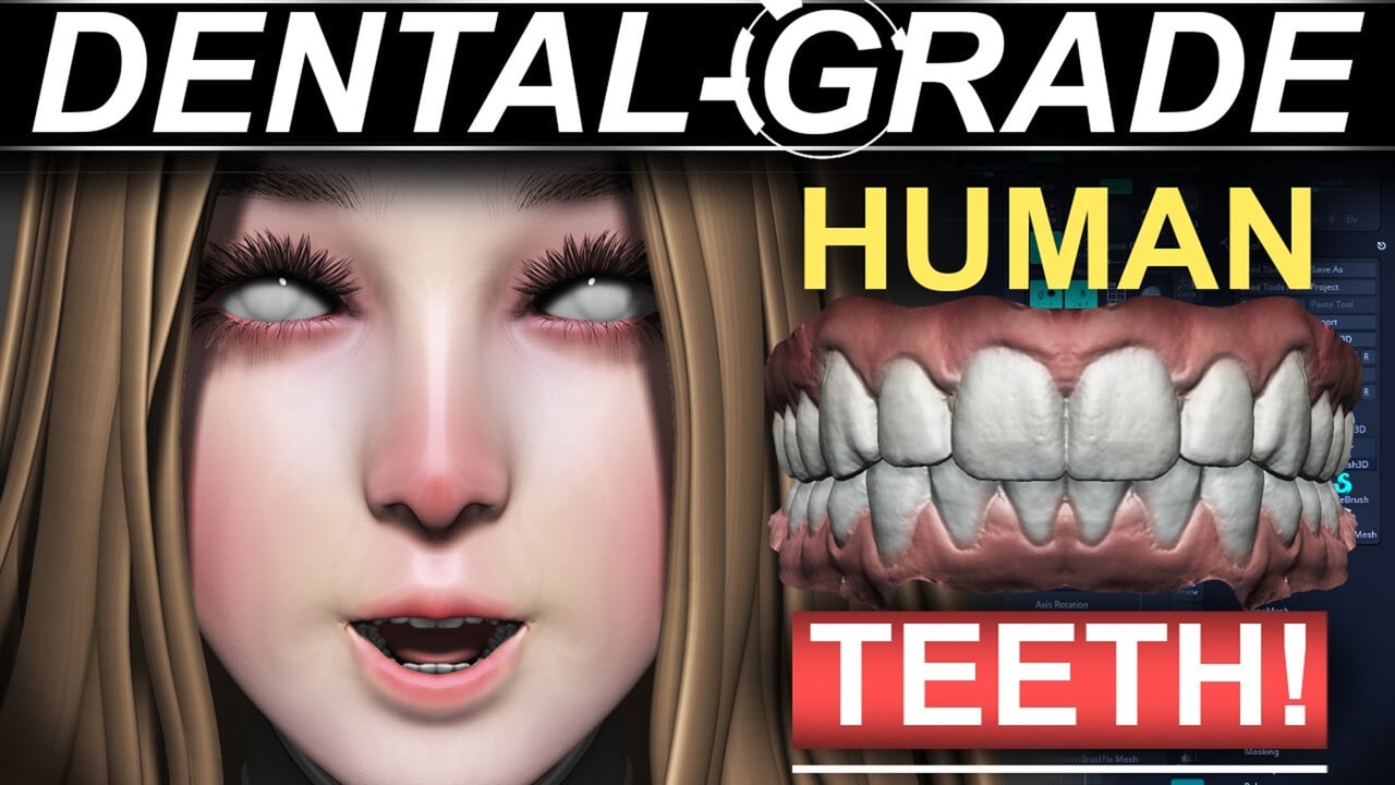 Media 1 for listing Dentist-Grade Human Teeth Scans - (Young-Adult Male & Female)
