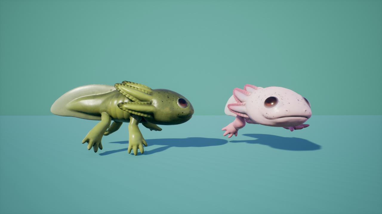 Media 1 for listing Aksolotl