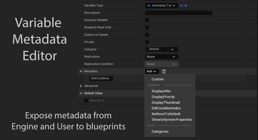 Blueprint Variable Metadata | Fab