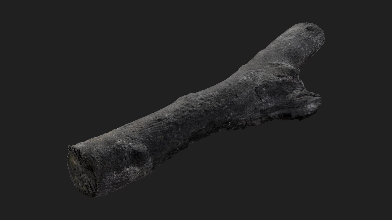 Media 1 for listing Burnt Firewood