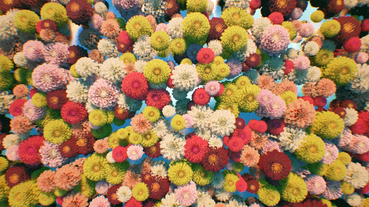 Media 1 for listing Dahlia