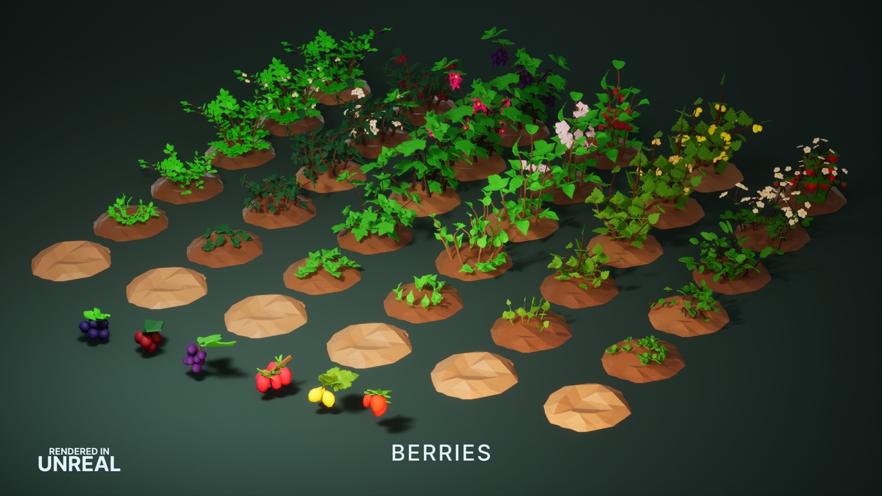 Media 1 for listing Wild Harvest: Low Poly