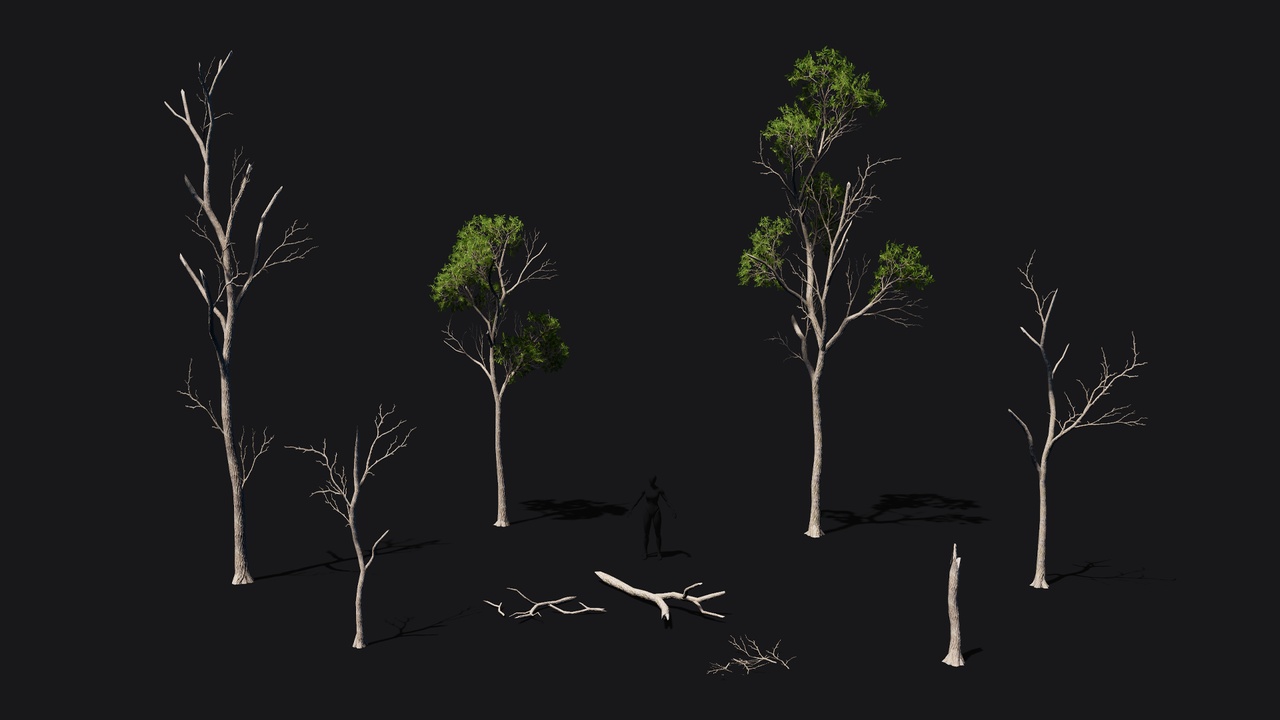 Media 1 for listing Ash tree dead and damaged game ready pack