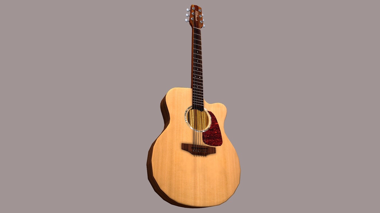 Media 1 for listing Acoustic Guitar - steel string