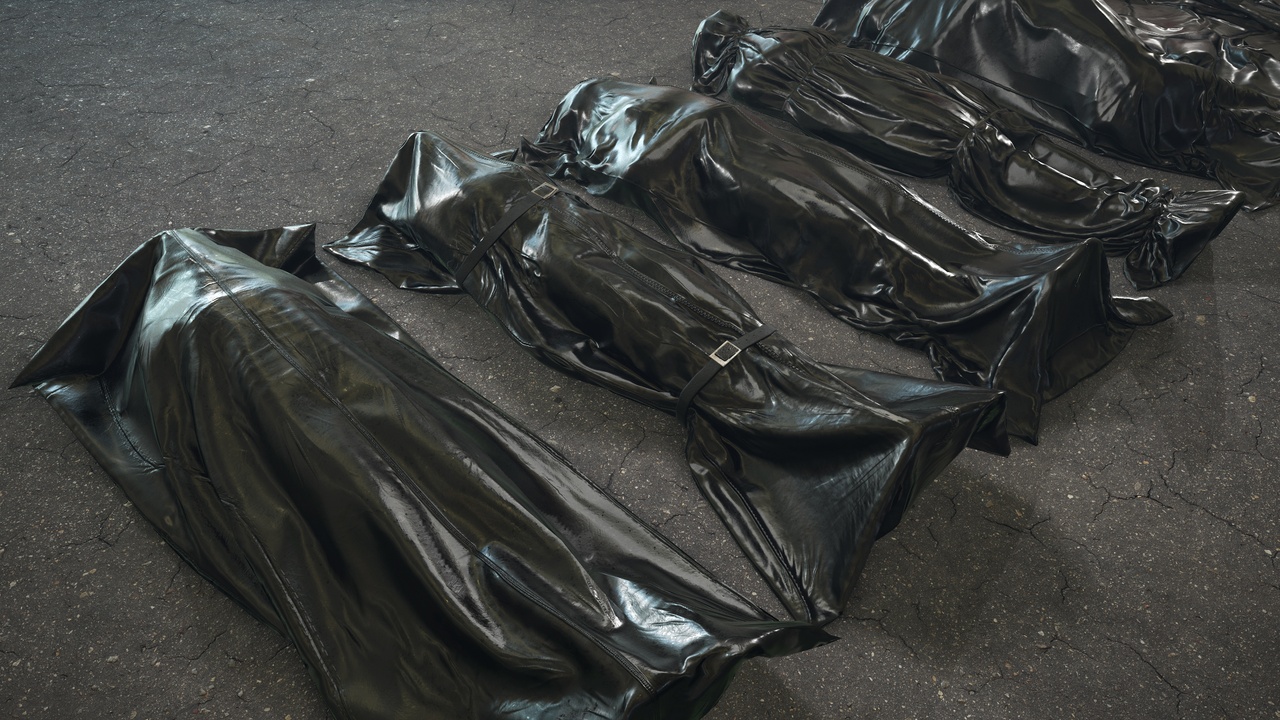 Media 1 for listing Bodybags Collection