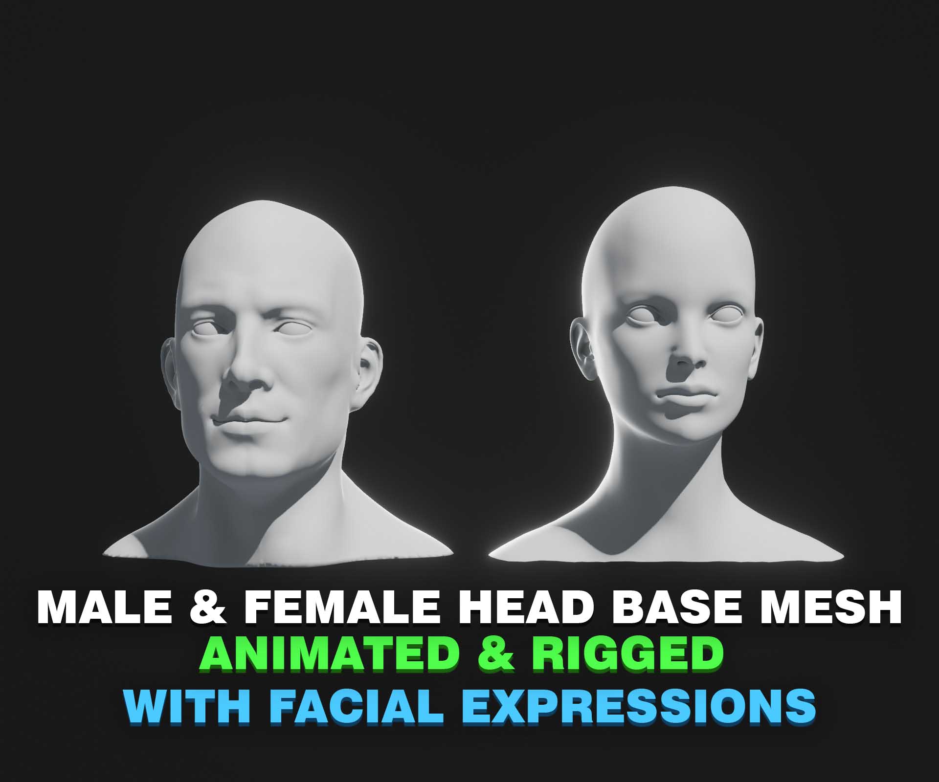 Normal Head Animation Male & Female Head Realistic Base Mesh 3D Model Animated with Facial ...