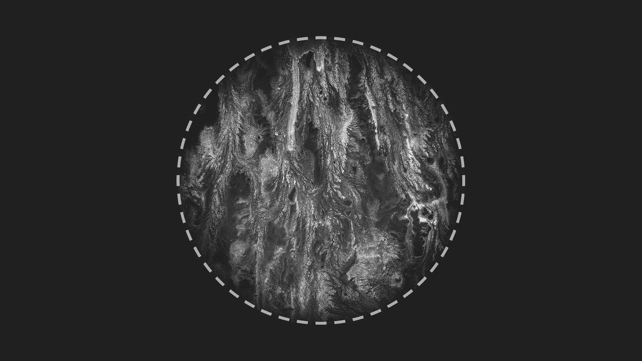 Media 1 for listing Grunge