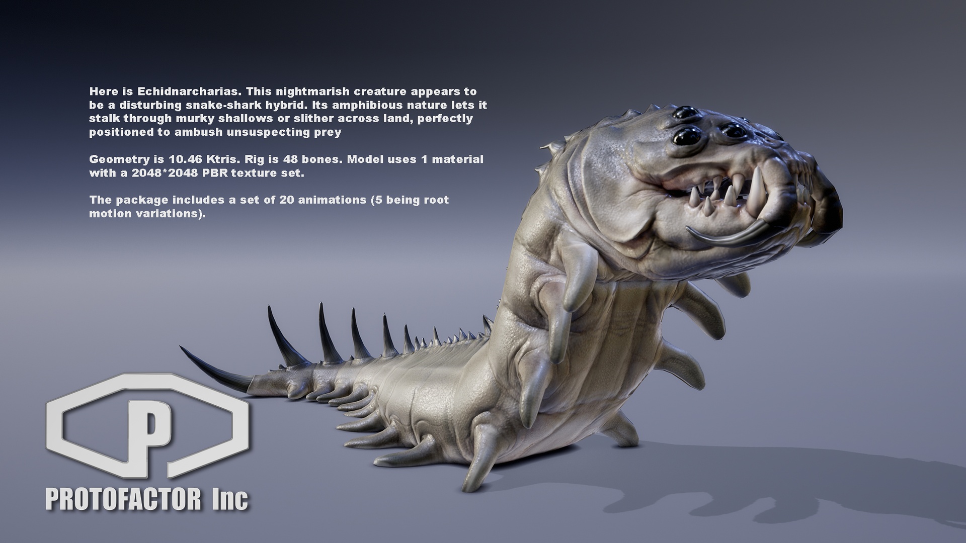 Media 1 for listing MONSTER: ECHIDNARCHARIAS