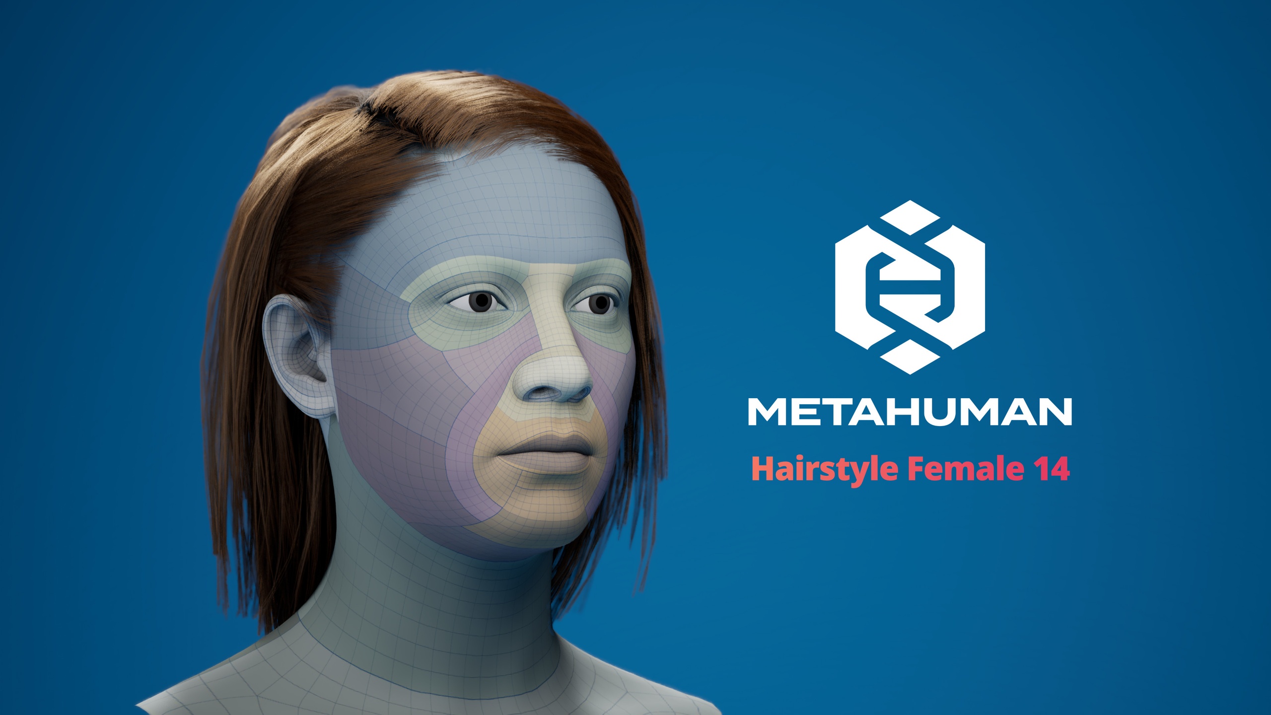 Media 1 for listing MetaHuman Hairstyle Female 14 Groom